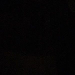 Meet your Posher, Will